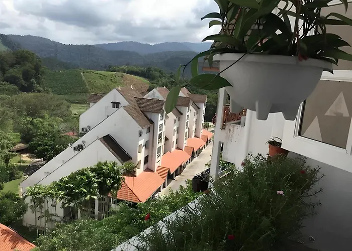 Bukit Tinggi Fuchsia Hillhomes